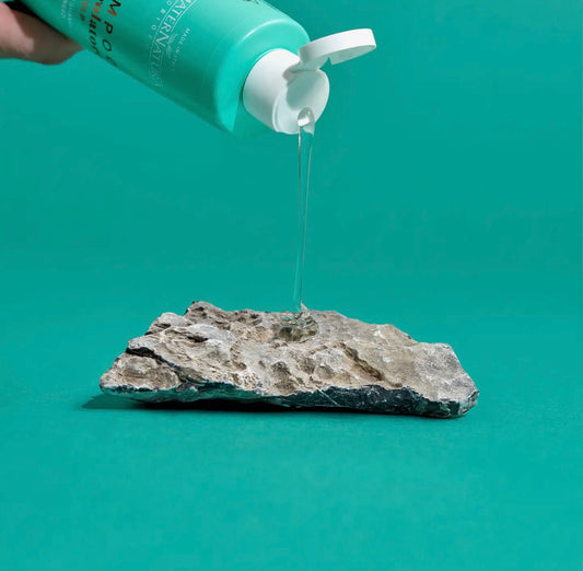 Shampoing régulateur de sébum à l'algue kelp pour cuir chevelu et cheveux gras