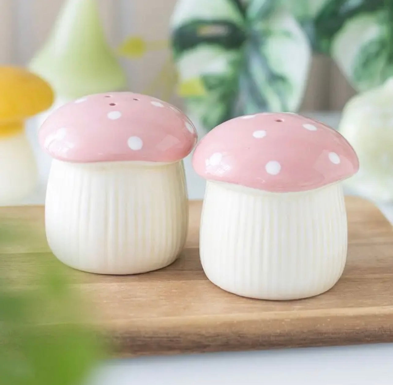 Salière et poivrière champignon