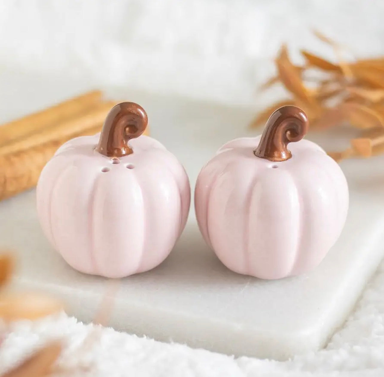 Salière et poivrière citrouille rose poudrée