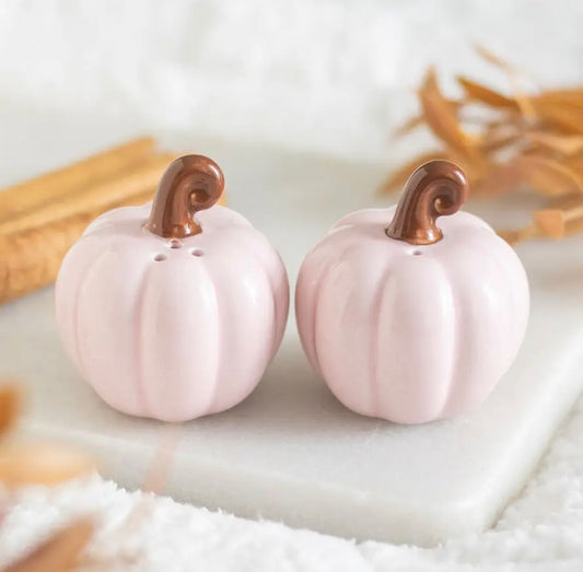 Salière et poivrière citrouille rose poudrée