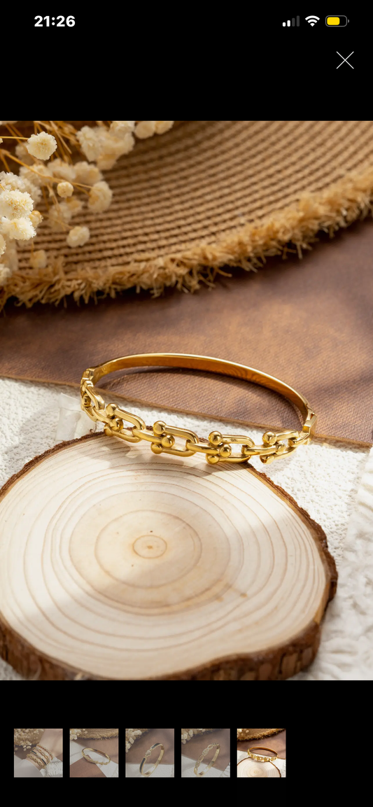 Bracelet segment écailles